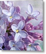 Lilacs Metal Print