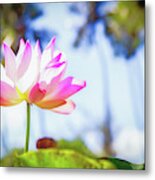 Lily Amidst The Palms Metal Print