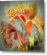 Lily In The Fog Metal Print