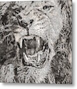 Lion King - 19 Metal Print