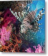 Lionfish Over Coral Reef Metal Print