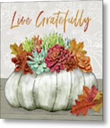 Live Gratefully Succulent Gray Pumpkin Arrangement By Jen Montgomery Metal Print