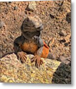 Lizard Portrait Metal Print