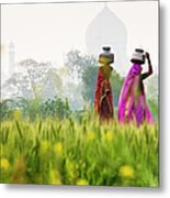 Local People Carrying Water Pots By The Metal Print