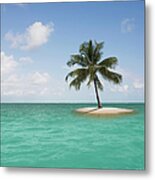 Lone Palm Tree On Small Island Metal Print