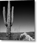 Lone Saguaro Square Metal Print