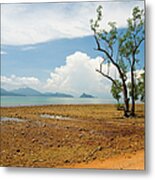 Lonely Tree On A Red Rock Beach Metal Print