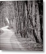 Long And Winding Road - Black And White Metal Print