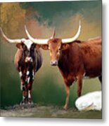 Longhorn Family Portrait Metal Print