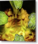 Looking Into A Pepper Metal Print