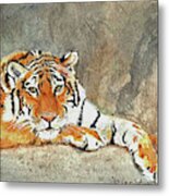 Lord Of The Jungle Metal Print
