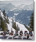 Lounging In Gstaad Metal Print