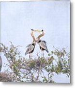 Love Is In The Air - Great Blue Herons Metal Print