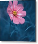 Lovely Cosmos Metal Print