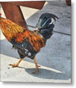 Lunch Guest Metal Print