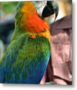 Macaw Profile Metal Print