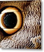 Macrophotograph Of Owl Butterfly Wing Metal Print