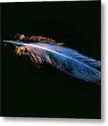 Magic Feather Metal Print