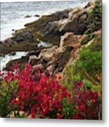 Maine Coastline Metal Print