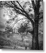 Majestic In Black And White Metal Print
