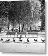 Make Way For Ducklings In The Snow Boston Common Boston Ma Black And White Metal Print