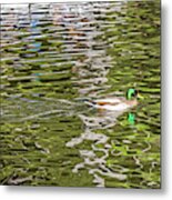 Mallard Reflected With Boat Metal Print