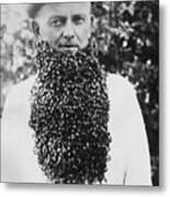Man Wearing Beard Of Bees Metal Print