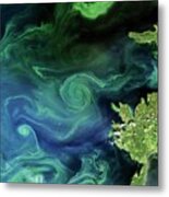 Marine Phytoplankton Bloom Metal Print