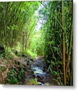 Maui Bamboo Forest Metal Print