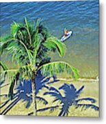 Maui Maalaea  Sugar Beach Plam Trees Beach Paddle Board  3090300 Metal Print