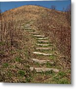 Max Patch, Appalachian Trail, North Metal Print