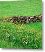 Meadow With Stone Wall And Wildflowers Metal Print