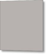 Medium Gray For Home Decor Pillows And Blankets Metal Print