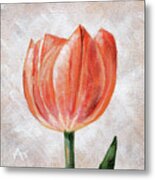 Melon Delight Tulip Painting Metal Print