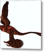 Microraptor Side Profile Metal Print