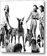 Models With Dogs On Leashes, Vogue Metal Print