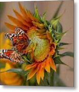 Monarchs And Sunflower Metal Print
