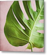 Monstera Pink One Metal Print