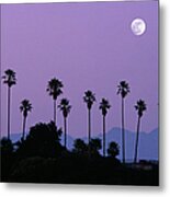 Moon Over Palm Trees At Dusk Metal Print