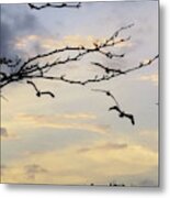 Morning Sky View Metal Print