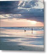 Morning Walk Metal Print