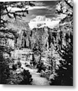 Mount Fay From Larch Valley Trail Metal Print