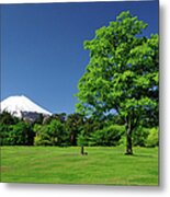 Mount Fuji And Fresh Green Of Early Metal Print