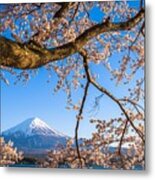 Mt. Fuji, Japan On Lake Kawaguchi Metal Print