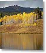 Muddy Pass Ake And Aspen Trees, Colorado Metal Print