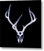 Mule Deer X-ray 001 Metal Print