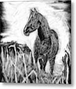 Mustang Metal Print