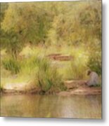 My Quiet Place Metal Print