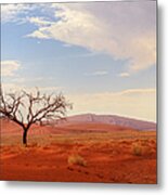 Namibia Desert 3 Metal Print
