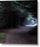 Narrow Path Through Foggy Mysterious Forest Metal Print
